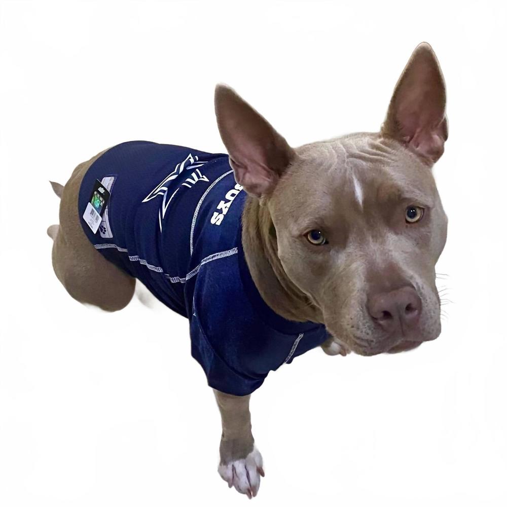 NEW LITTLE EARTH PRODUCTIONS dallas cowboys official pet jersey in navy blue